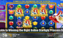 Guide to Winning the Right Online Starlight Princess Slot